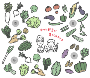 seasonal vegetables